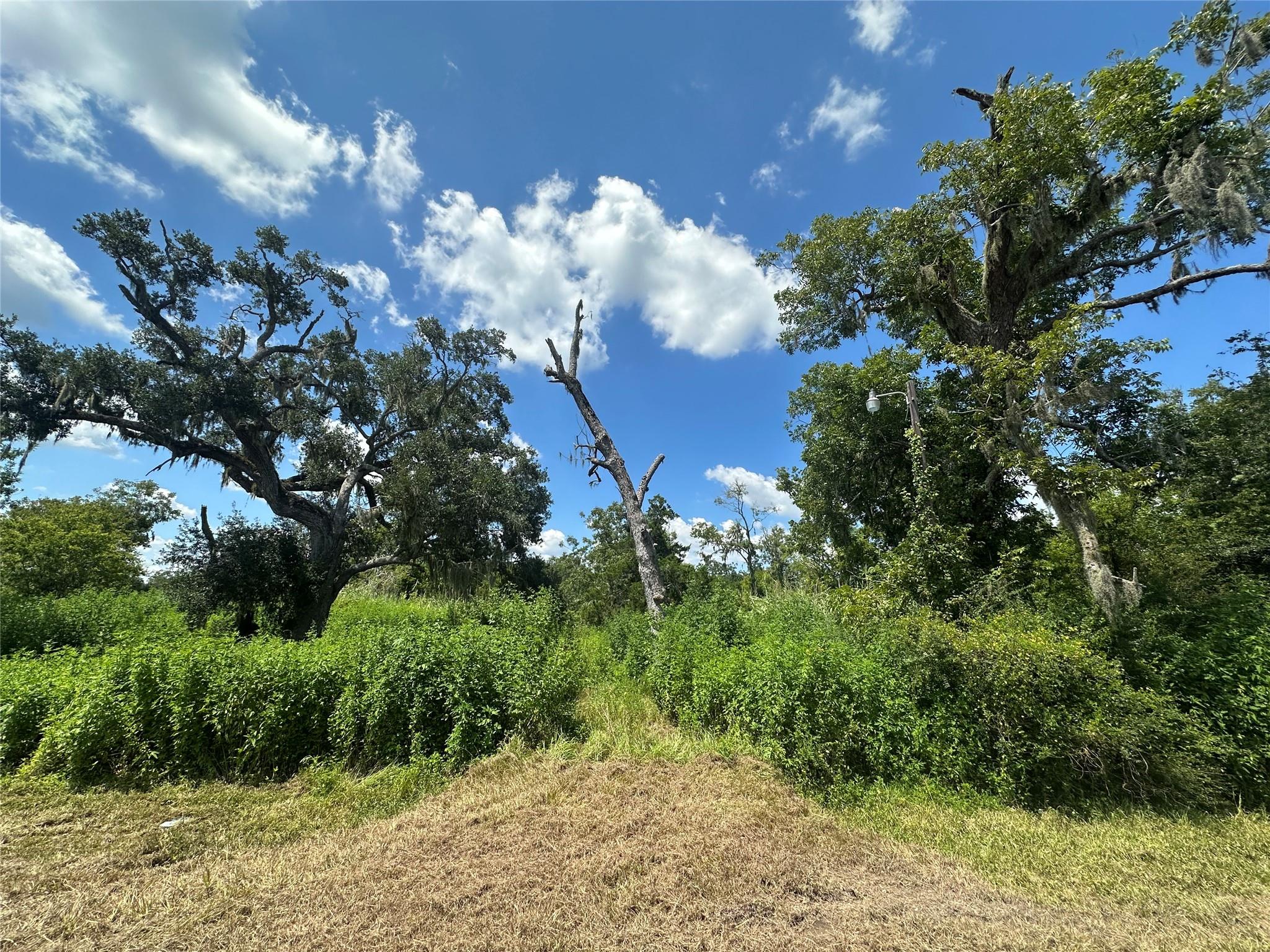 1665 County Road 310