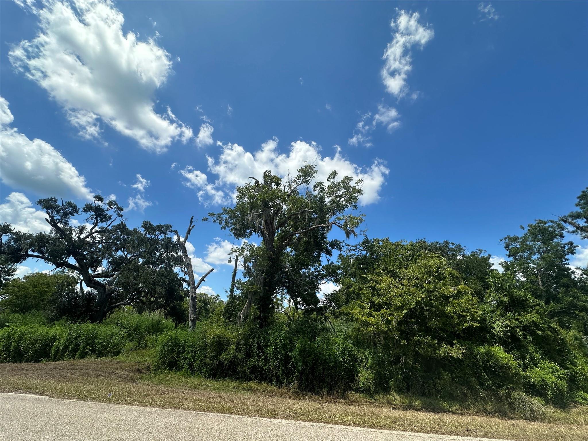 1665 County Road 310