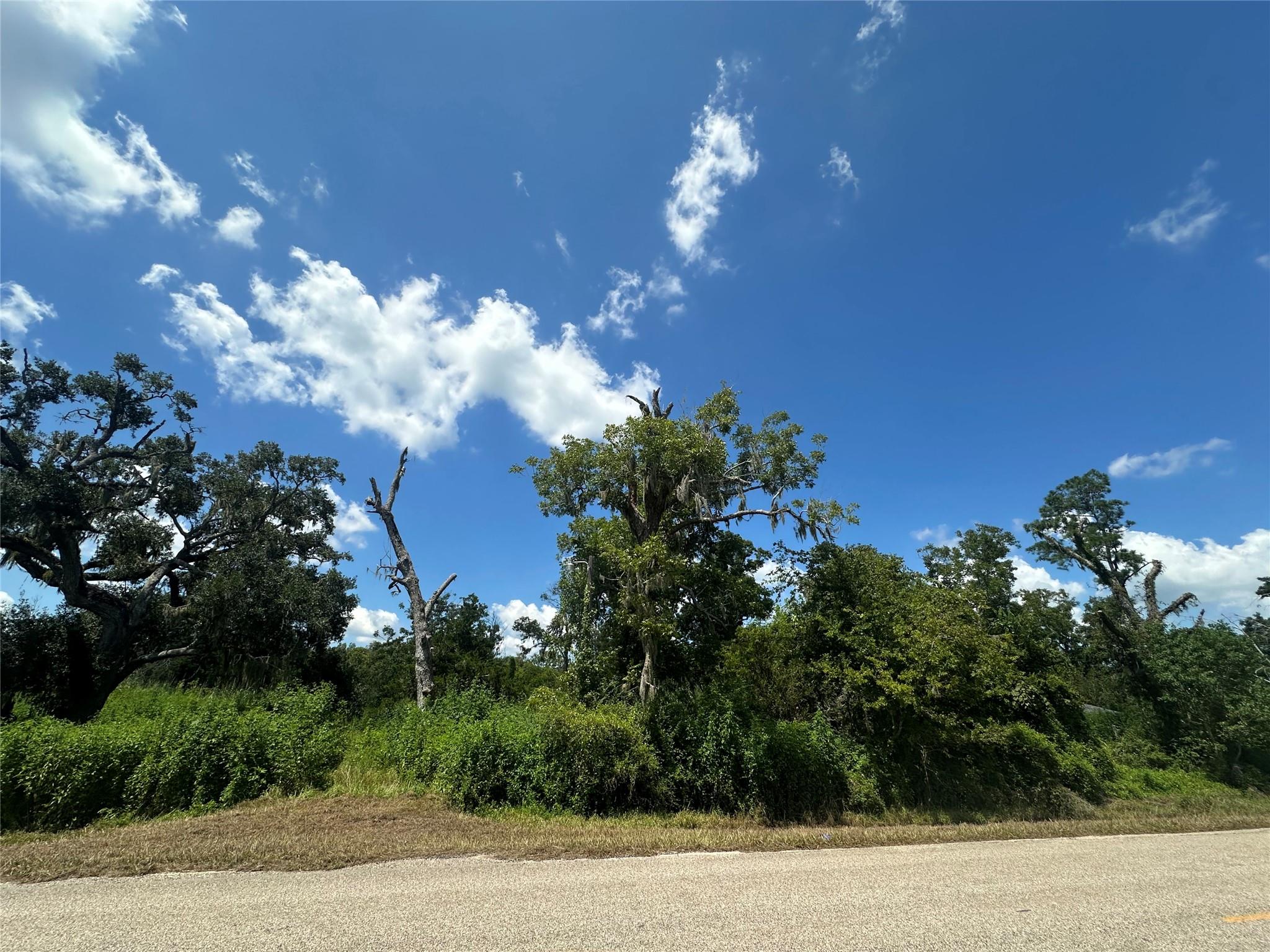 1665 County Road 310