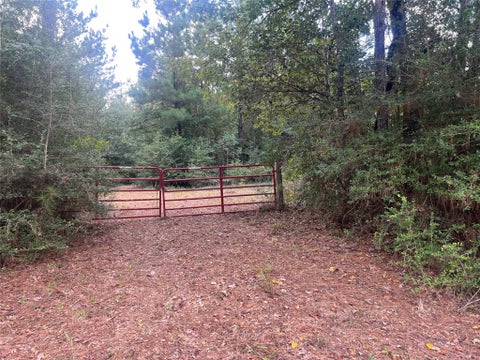 Photo of 7926 E Fm 942, Livingston, TX 77351 (MLS # 5759032)