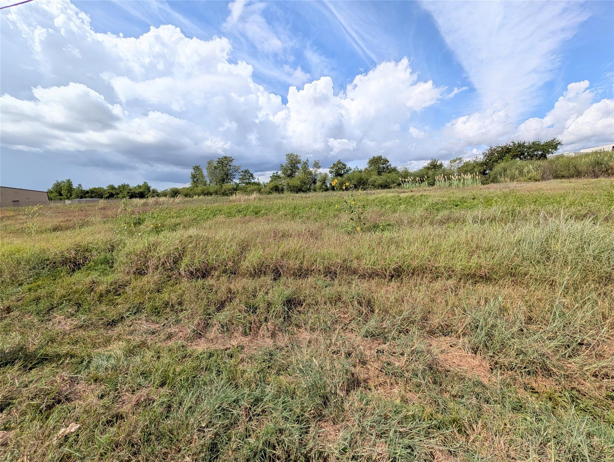 000 Walsh Road