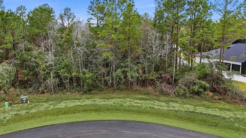 Photo of 25139 Balmorhea Way, Montgomery, TX 77316 (MLS # 82581964)