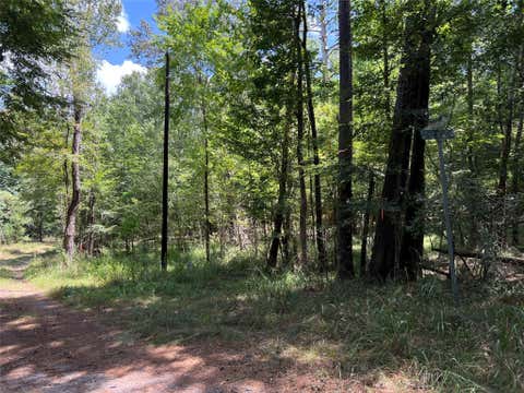 Photo of 415 Rio Vista Drive, Livingston, TX 77352 (MLS # 94098095)
