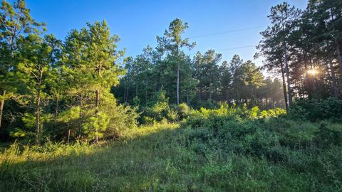 TBD Old Hwy 287 Groveton TX 75845