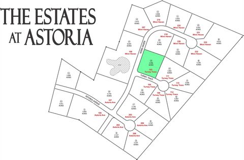 Vacant Land For Sale - 103 Turney Trace Avenue<br/> Round Top, TX 78954