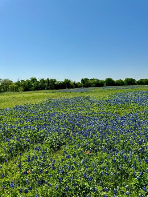5.01 ACRES Fm-308 Penelope TX 76676