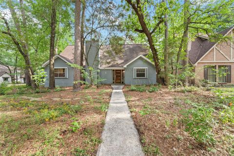 Photo of 1 Rolling Mill Lane, The Woodlands, TX 77380 (MLS # 53970764)