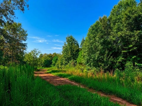 Photo of 10 Cr 261, Buffalo, TX 75831 (MLS # 18994508)