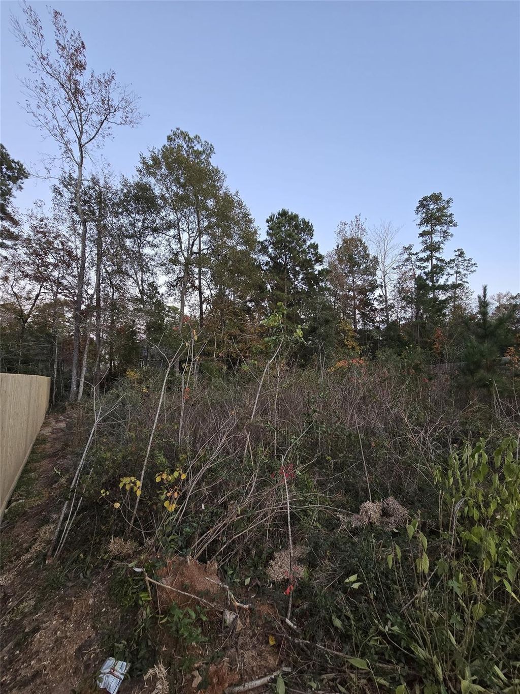 Photo of TBD Indian Creek Circle, Willis, TX 77378 (MLS # 81540190)