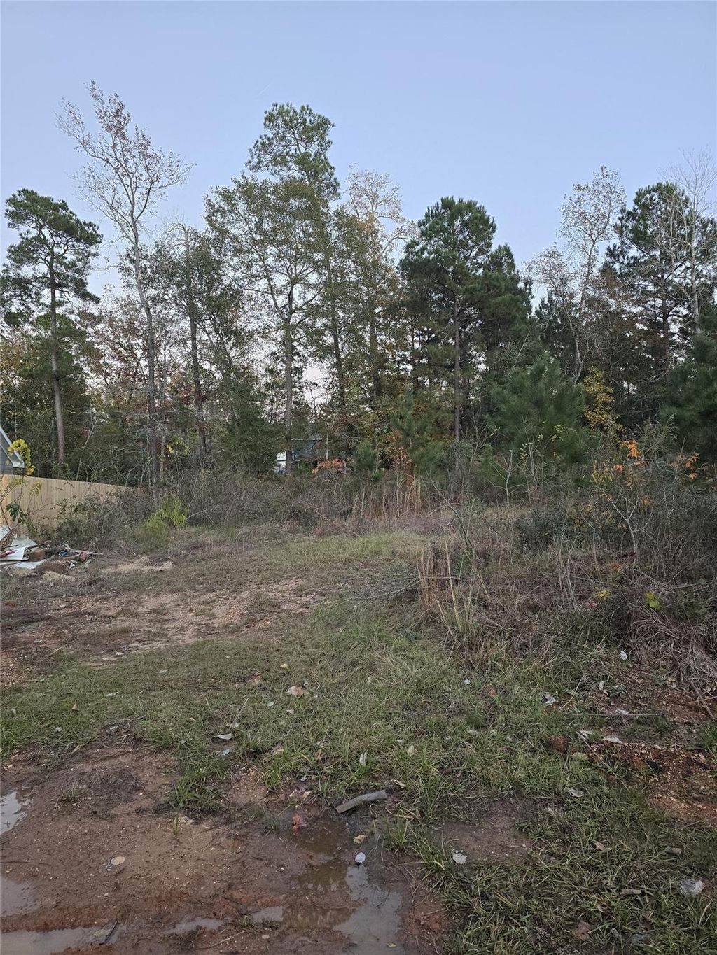 Photo of TBD Indian Creek Circle, Willis, TX 77378 (MLS # 81540190)