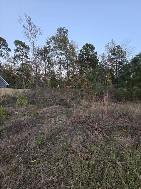 TBD Indian Creek Circle Willis TX 77378