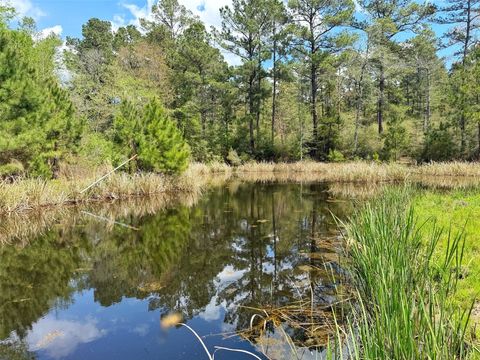 Vacant Land For Sale - 1878 Cr 131<br/> Leon County, Centerville, TX 75833