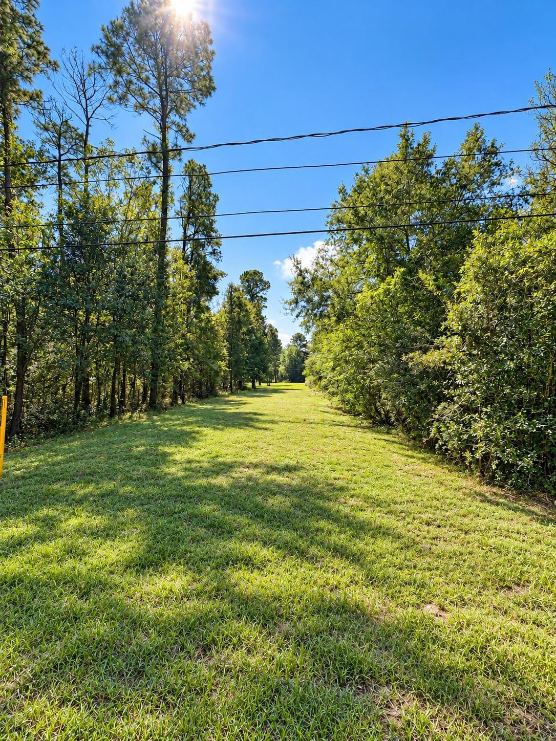 Lots 638 & 639 Moose Drive