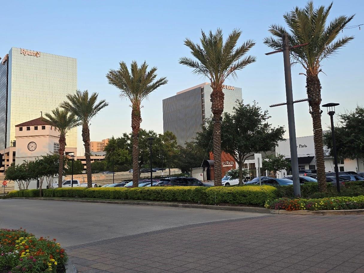 Houston, Texas 77056, United States, 3 Bedrooms Bedrooms, ,4 BathroomsBathrooms,Residential,Active,164061