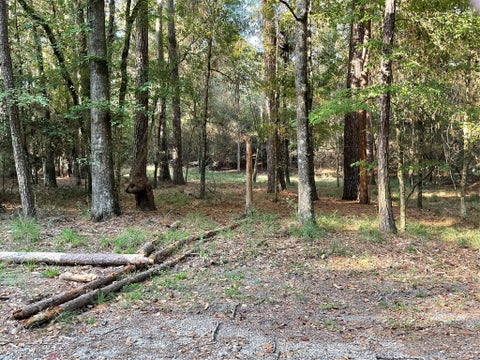 Vacant Land For Sale - 00 Winding Creek Drive<br/> Trinity, TX 75862