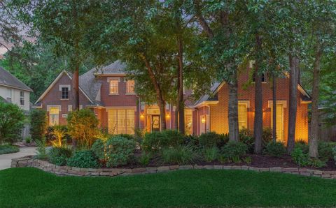 15 Cleerebrook Place The Woodlands TX 77382