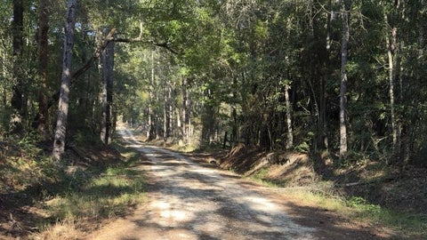 Photo of 355 Bar East Road, Livingston, TX 77351 (MLS # 49690359)