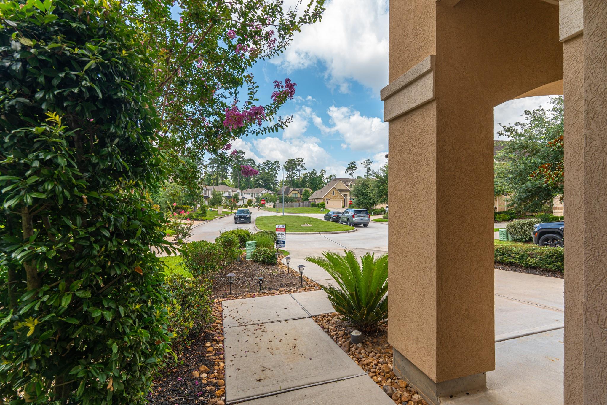 226 Skybranch Court