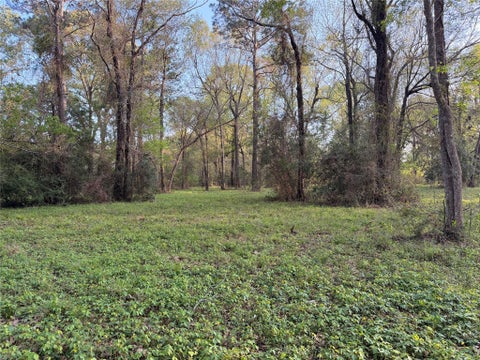 Vacant Land For Sale - TBD County Road 2284 Freddie Rice Road<br/> Liberty County, Cleveland, TX 77327