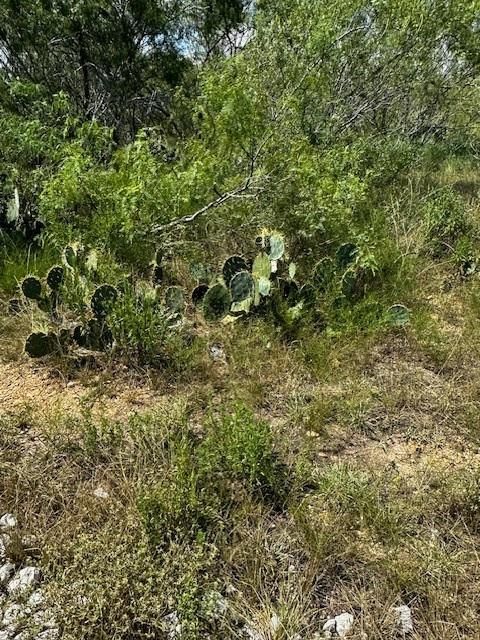 Vacant Land For Sale - LOT 4 County Road 420<br/> Waelder, TX 78959