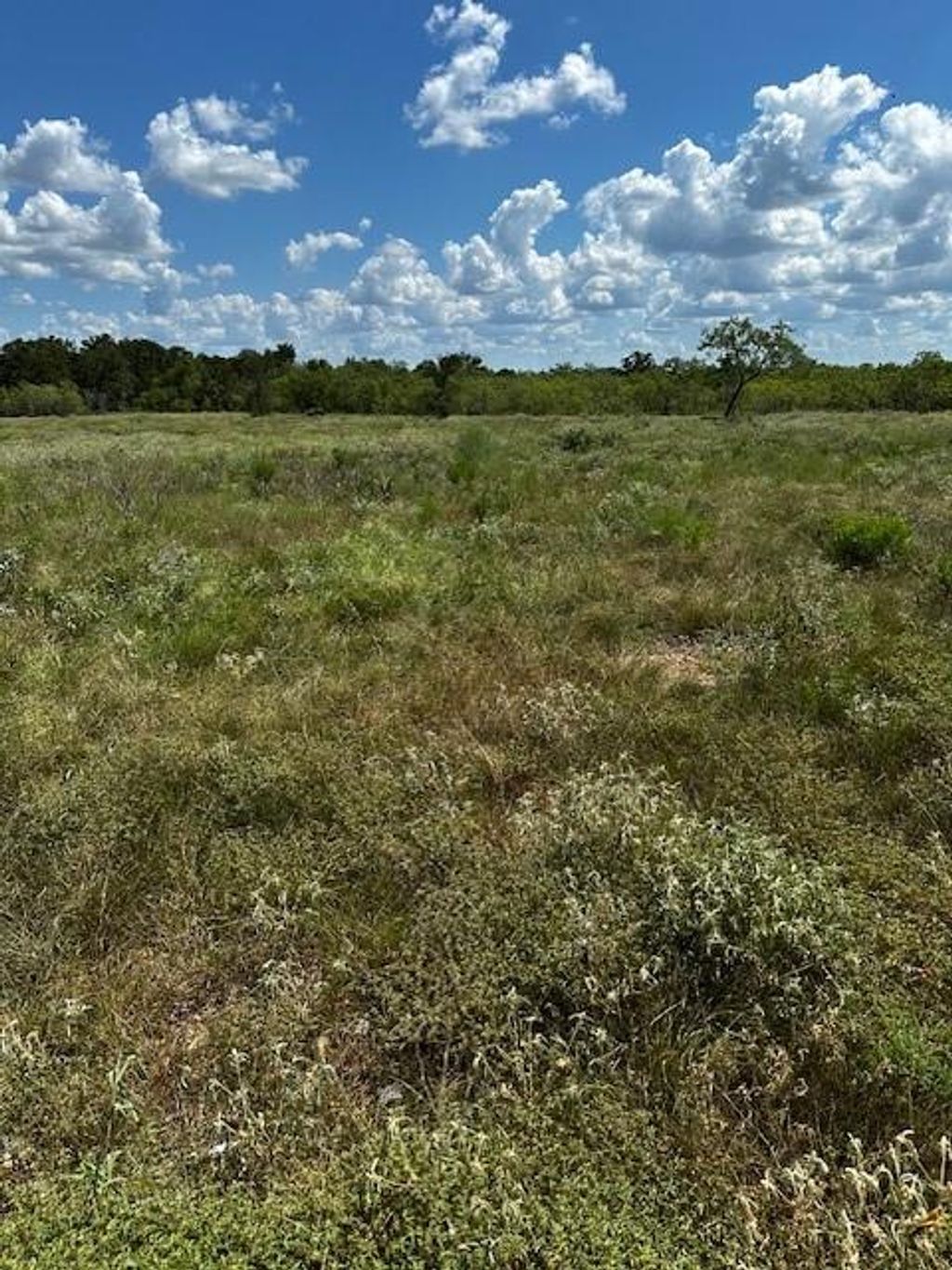 Photo of 4 County Road 420, Waelder, TX 78959 (MLS # 29140658)