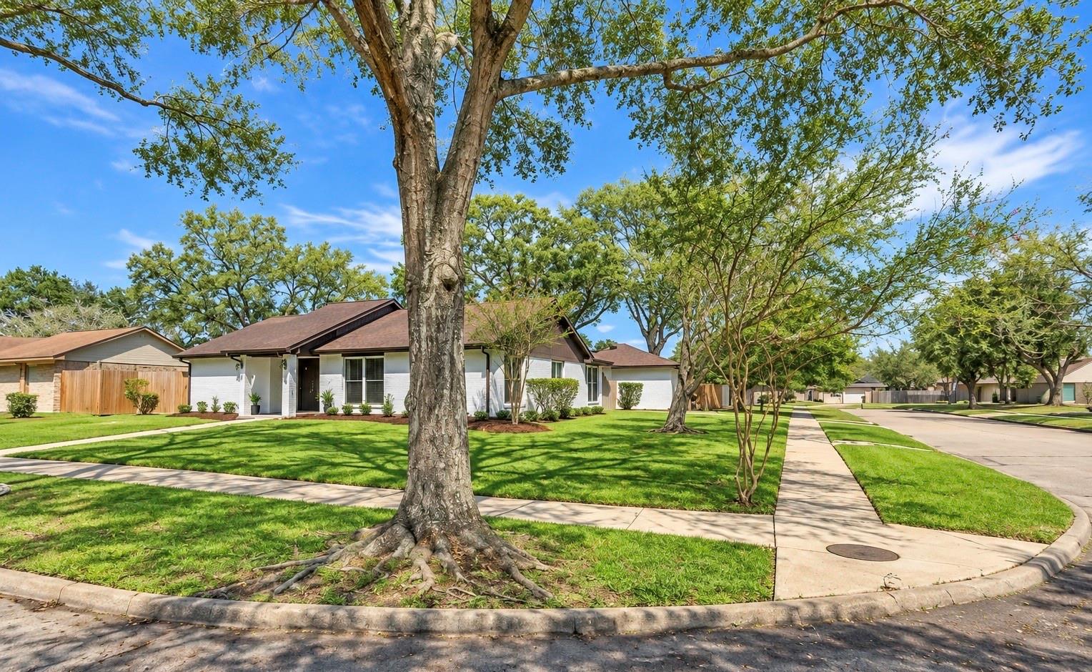 509 Belmont Drive