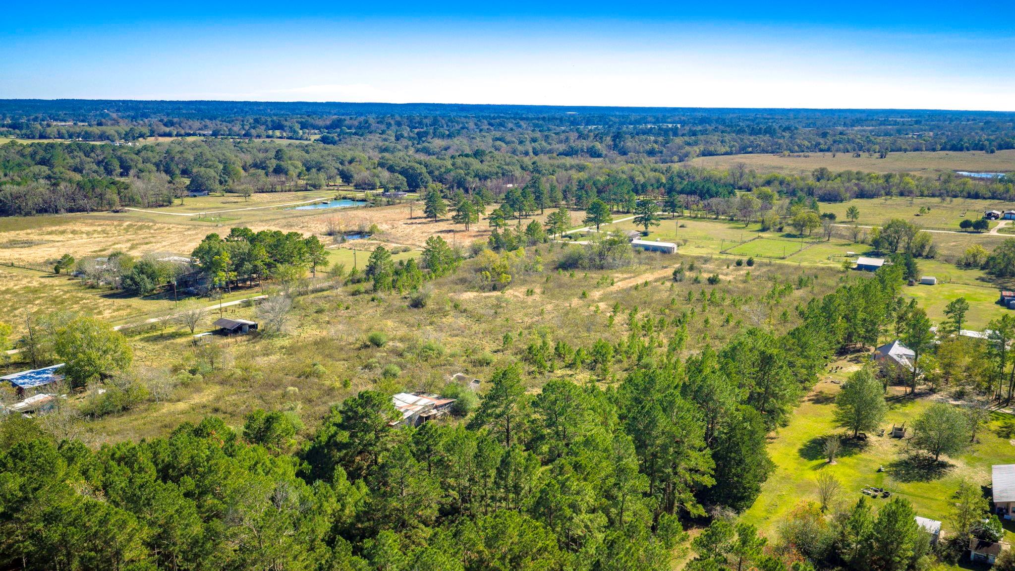 331 Longhorn Drive N