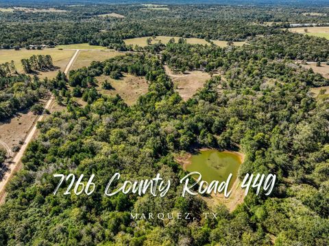 Vacant Land For Sale - 7266 County Road 449<br/> Marquez, TX 77865