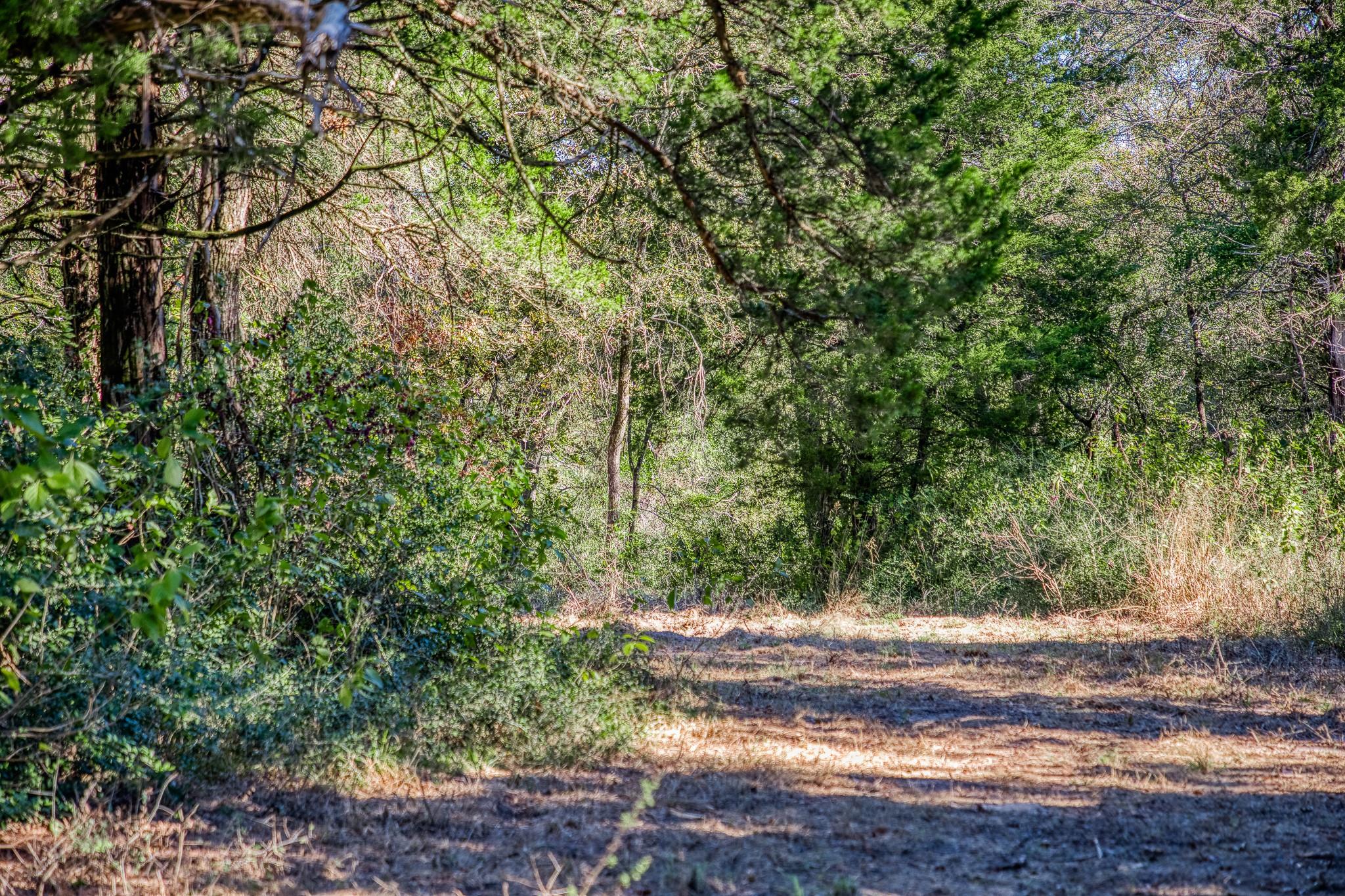 7266 County Road 449