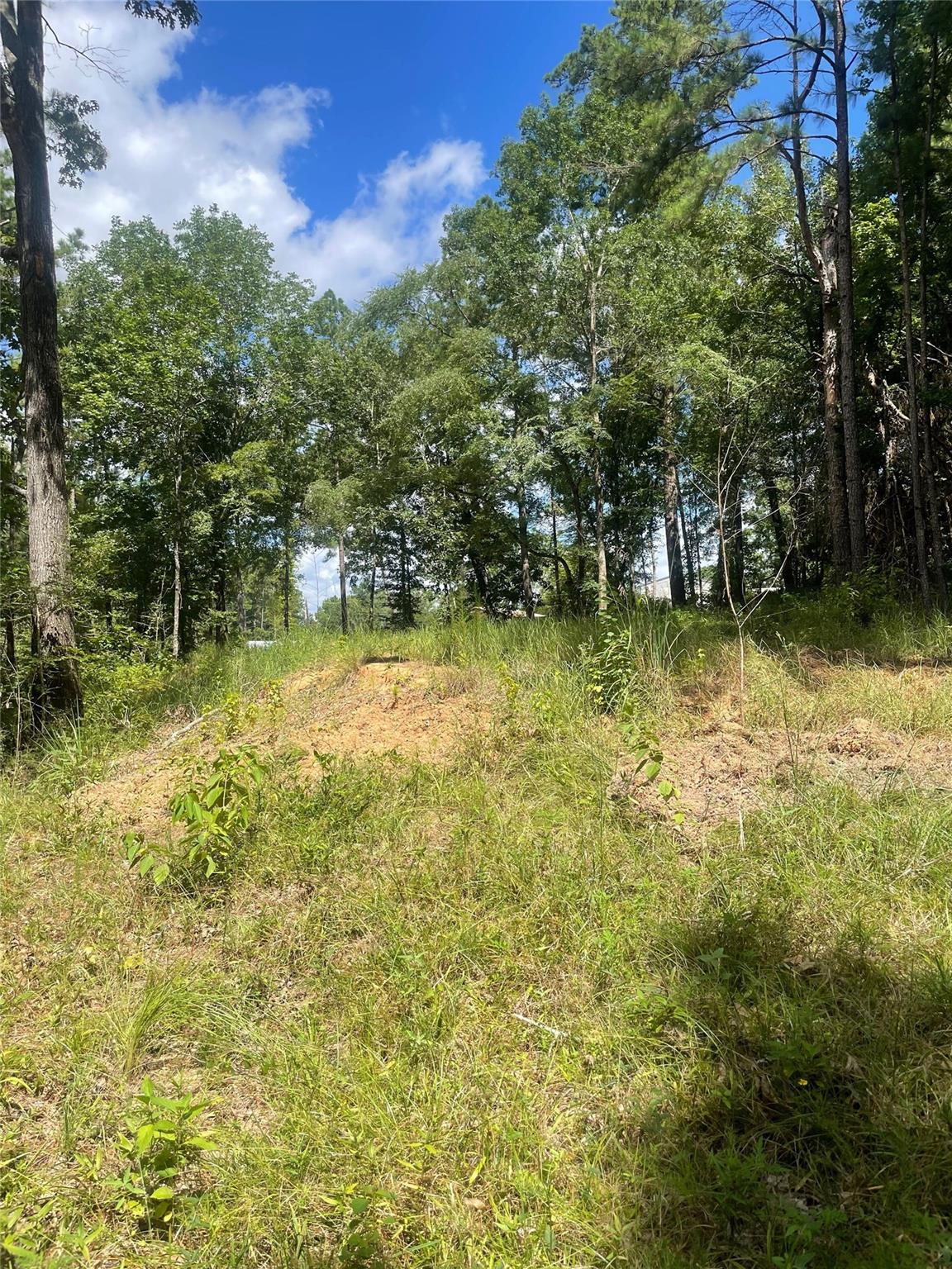 70 Tall Timbers Trail