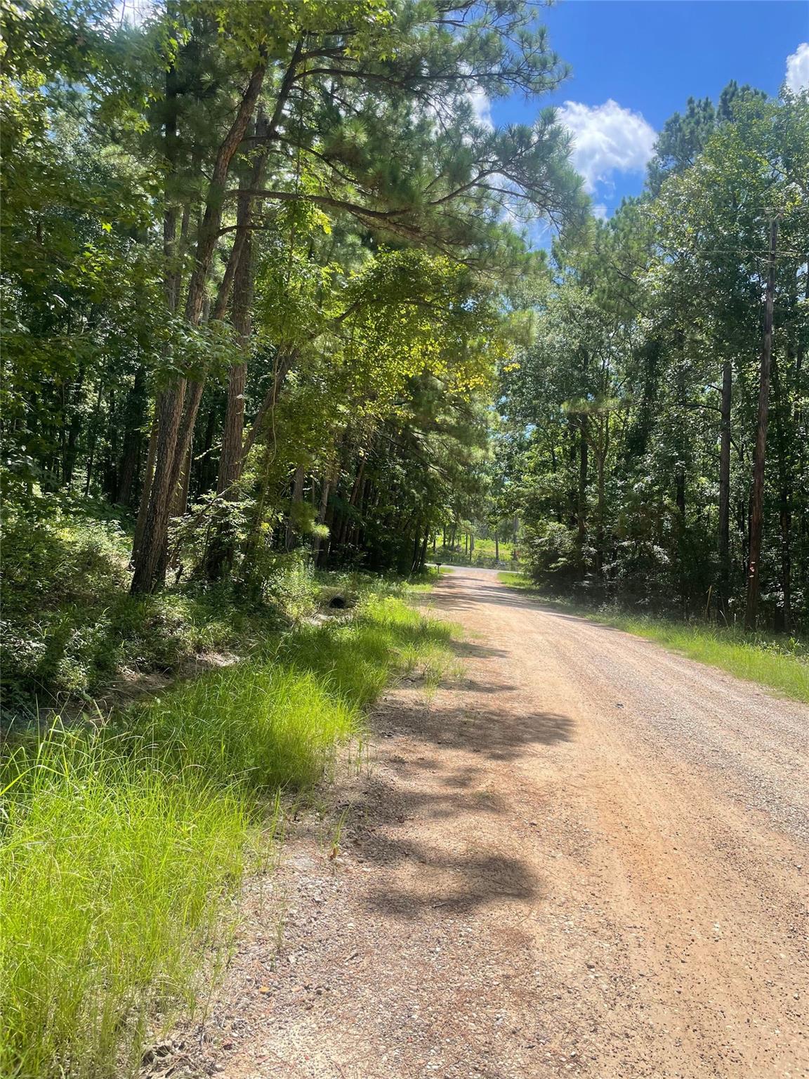 70 Tall Timbers Trail