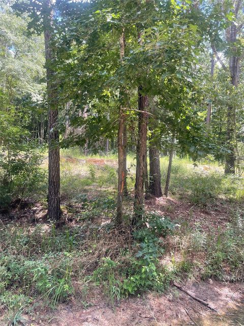70 Tall Timbers Trail Coldspring TX 77331