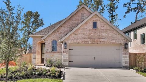 Photo of 271 Mallards Rim Drive, Willis, TX 77318 (MLS # 18551325)
