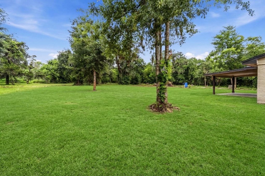 Photo of 18079 County Road 463, Brazoria, TX 77422 (MLS # 69074859)