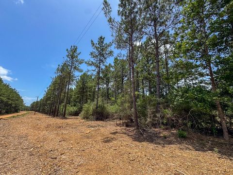 Tiny photo for 7 Benny Griffin Road, Dallardsville, TX 77351 (MLS # 81423643)