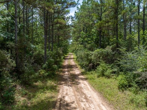 Tiny photo for 7 Benny Griffin Road, Dallardsville, TX 77351 (MLS # 81423643)