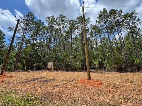 Tiny photo for 7 Benny Griffin Road, Dallardsville, TX 77351 (MLS # 81423643)