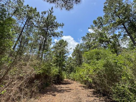 Tiny photo for 7 Benny Griffin Road, Dallardsville, TX 77351 (MLS # 81423643)