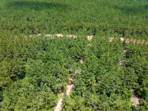 Tiny photo for 7 Benny Griffin Road, Dallardsville, TX 77351 (MLS # 81423643)