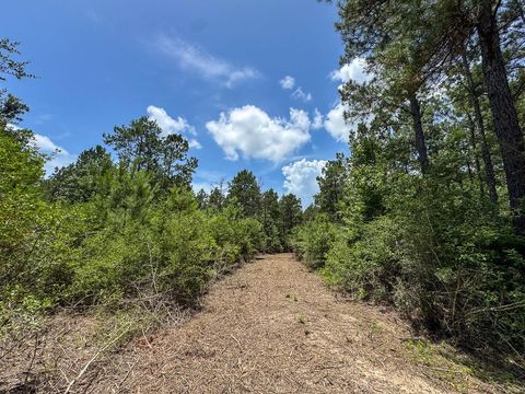 Tiny photo for 7 Benny Griffin Road, Dallardsville, TX 77351 (MLS # 81423643)