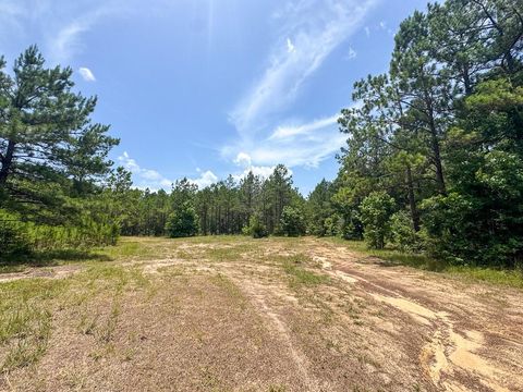 Tiny photo for 7 Benny Griffin Road, Dallardsville, TX 77351 (MLS # 81423643)