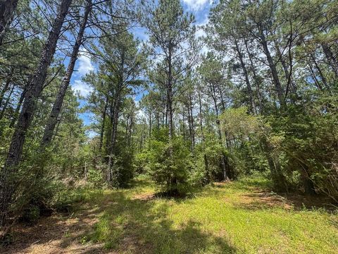 Tiny photo for 7 Benny Griffin Road, Dallardsville, TX 77351 (MLS # 81423643)