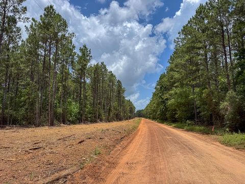 Tiny photo for 7 Benny Griffin Road, Dallardsville, TX 77351 (MLS # 81423643)