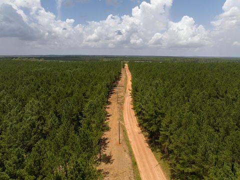 Tiny photo for 7 Benny Griffin Road, Dallardsville, TX 77351 (MLS # 81423643)