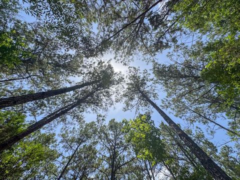 Tiny photo for 7 Benny Griffin Road, Dallardsville, TX 77351 (MLS # 81423643)