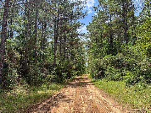 Tiny photo for 7 Benny Griffin Road, Dallardsville, TX 77351 (MLS # 81423643)