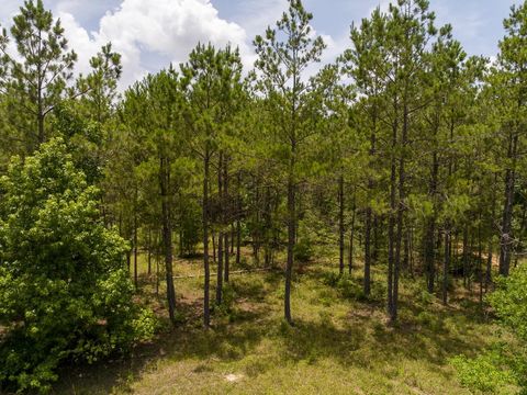 Tiny photo for 7 Benny Griffin Road, Dallardsville, TX 77351 (MLS # 81423643)