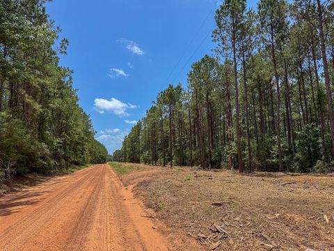 Tiny photo for 7 Benny Griffin Road, Dallardsville, TX 77351 (MLS # 81423643)