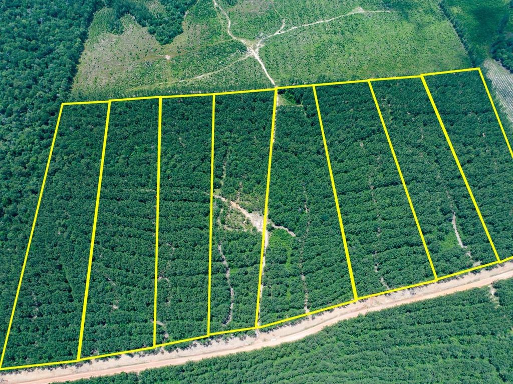 Photo of 7 Benny Griffin Road, Dallardsville, TX 77351 (MLS # 81423643)