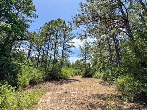 Tiny photo for 7 Benny Griffin Road, Dallardsville, TX 77351 (MLS # 81423643)